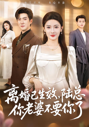 离婚已生效，陆总你老婆不要你了（61集）好看的国产短剧