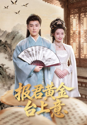 报君黄金台上意（100集）短剧解说热门