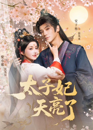 太子妃天亮了（80集）口碑爆棚免费看