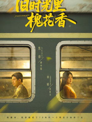 旧时光里槐花香（70集）80到100集