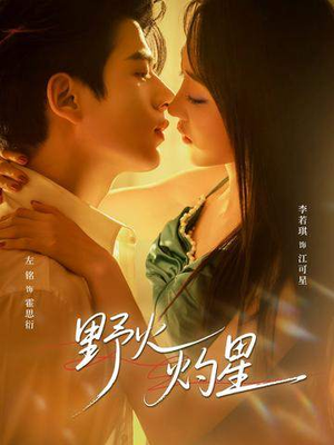 野火灼星（56集）短剧全集免费看