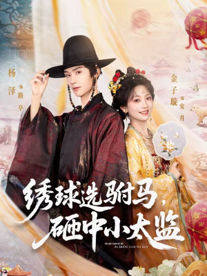 绣球选驸马，砸中小太监（81集）短剧更新抢先看