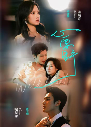 心要野（62集）精彩短剧追不停