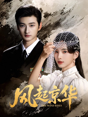 风Q京华(60集) 风Q京华(60集)推荐热门短剧