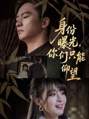 身份曝光,你们只能仰望(78集) 身份曝光,你们只能仰望(78集)网盘在线观看