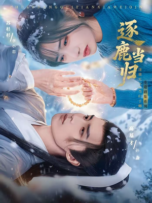 逐鹿当归（34集）在线播放