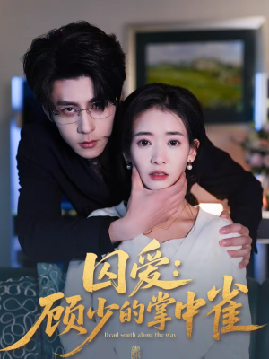 囚爱：顾少的掌中雀（70集）正能量短剧分享