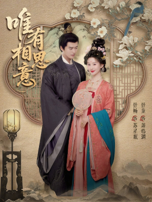 唯有相思意（100集）独家资源免费看