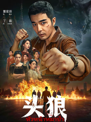 头狼（77集）短剧后续更精彩