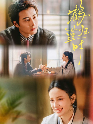 鹤归瑾时（81集）好看上头短剧