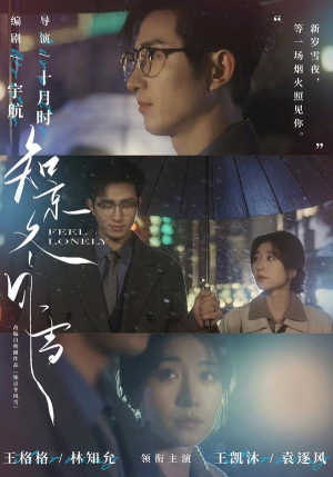 知京冬风雪（68集）热播短剧免费看