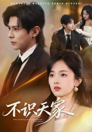 不识天家(69集) 不识天家(69集)精彩短剧热播中