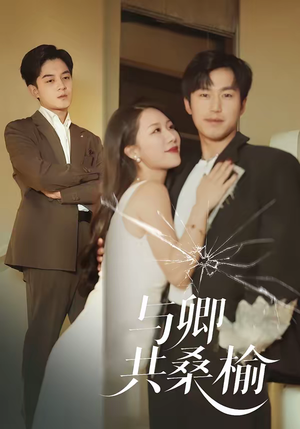 与卿共桑榆（63集）免费短剧大全