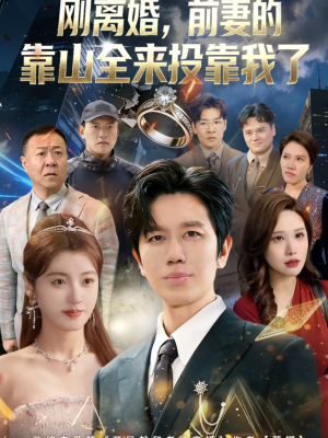 离婚，前妻的靠山全来投靠我了（80集）让你一口气看完