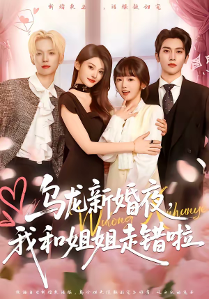 乌龙新婚夜，我和姐姐走错啦（59集）短剧每日分享