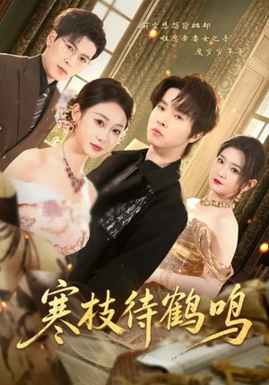寒枝待鹤鸣(70集) 寒枝待鹤鸣(70集)免费观看全集
