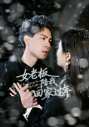 女老板陪我回家过年（40集）精彩短剧片段