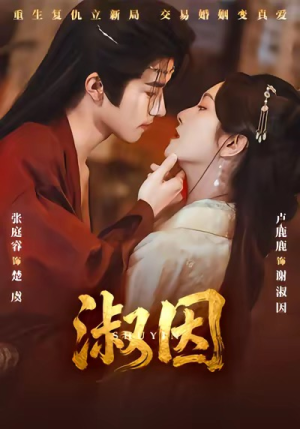 淑因（65集）正能量短剧分享