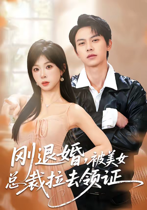 刚退婚，被美女总裁拉去领证（81集）精彩短剧随心推