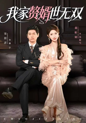 我家赘婿世无双（73集）短剧爆款推荐