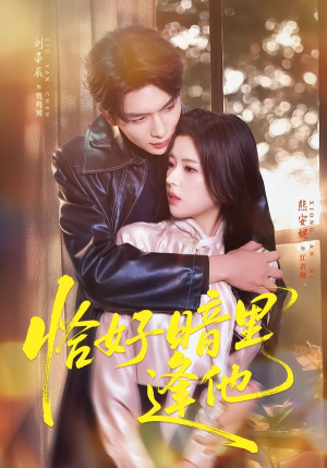 恰好暗里逢他（66集）短剧太精彩了