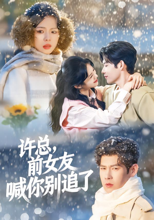 许总，前女友喊你别追了（80集）全集完整版