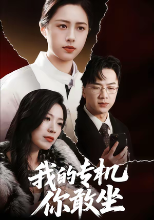 我的专机你敢坐（62集）快来看短剧