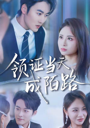 领证当天成陌路（39集）古装短剧推荐