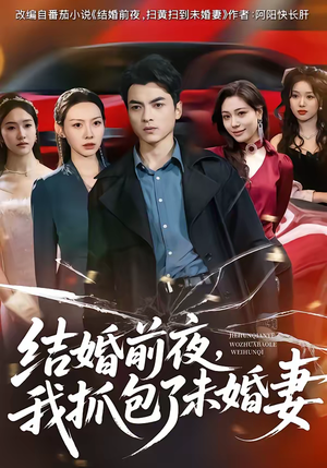 结婚前夜，我抓包了未婚妻（80集）去哪里看