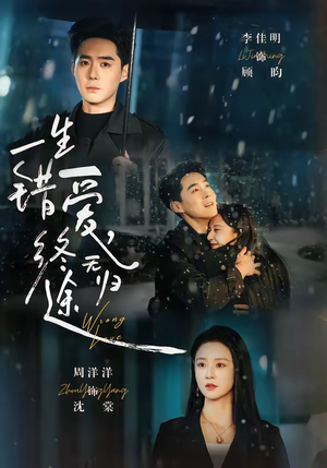 一生错爱，终无归途（74集）全部免费看全集