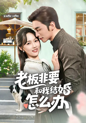 老板非要和我结婚怎么办（50集）真的好看吗