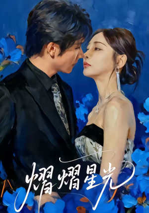 熠熠星光（67集）演员表