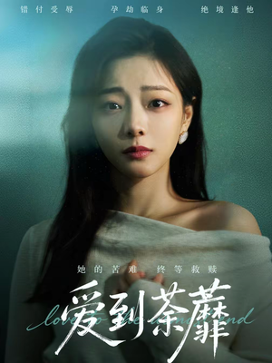 爱到荼蘼（63集）更新时间一览表