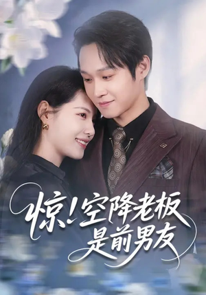 惊！空降老板是前男友（65集）演员表