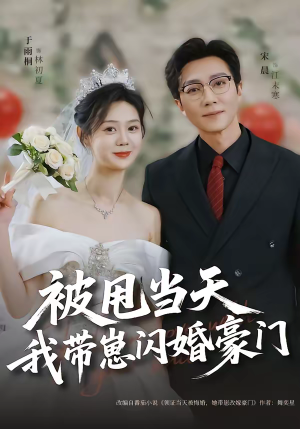 被甩当天我带崽闪婚豪门（70集）红果短剧免费看