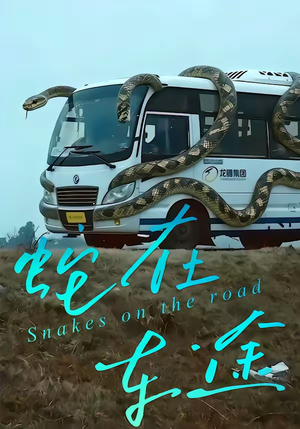 蛇在车途（34集）热播短剧免费看