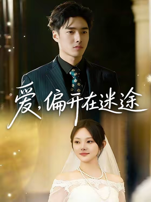 爱，偏开在迷途（63集）免费版