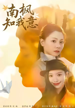 南枫知我意（41集）爆火短剧推荐