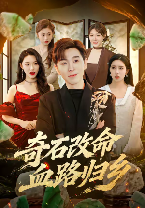奇石改命血路归乡（81集）短剧演员排行榜