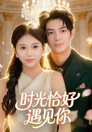 时光恰好遇见你（80集）好看的短剧电影