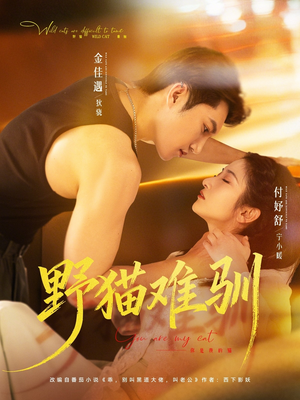 野猫难驯（73集）短剧免费分享