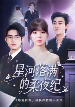 星河落满的柔夜纪（88集）热门短剧大全