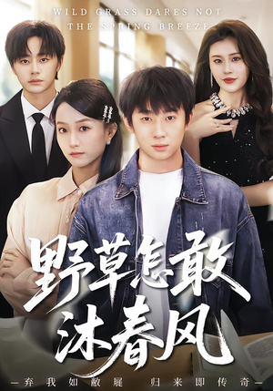 野草怎敢沐春风（61集）免费短剧全集看