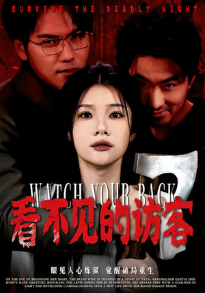 看不见的访客（62集）好看短剧推荐