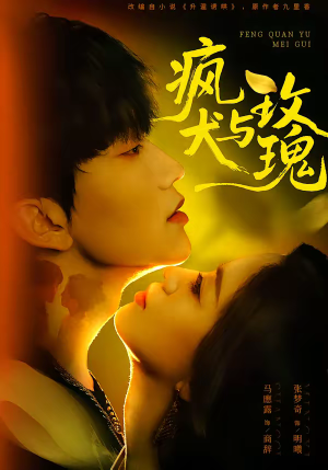 疯犬与玫瑰（80集）排行榜前十短剧