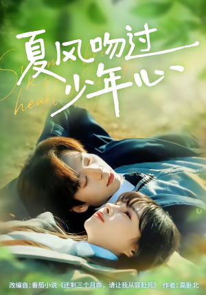 夏风吻过少年心（76集）好看上头的短剧