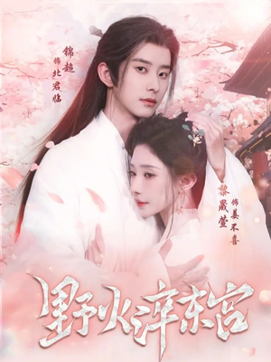 野火淬东宫（76集）哪个网站可以看