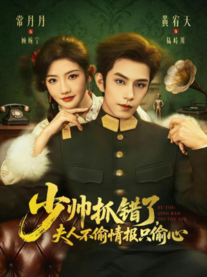 少帅抓错了，夫人不偷情报只偷心（66集）解说文案