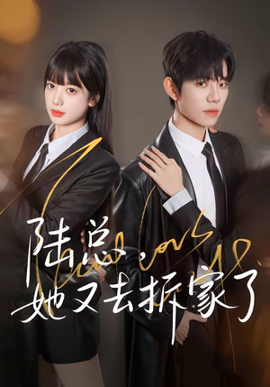 陆总，她又去拆家了（80集）免费短剧大全