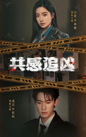 共感追凶（60集）百度网盘在线看